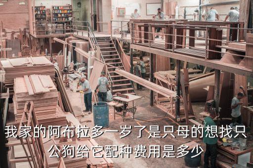 我家的阿布拉多一歲了是只母的想找只公狗給它配種費用是多少