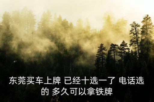 東莞買車上牌 已經(jīng)十選一了 電話選的 多久可以拿鐵牌