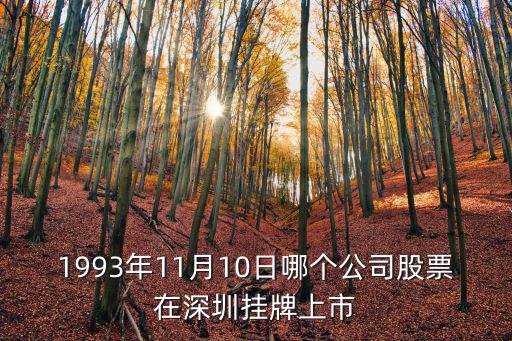1993年11月10日哪個公司股票在深圳掛牌上市