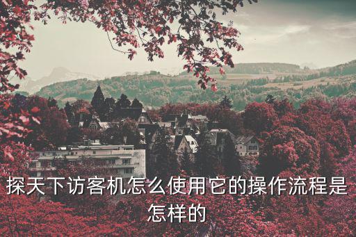 探天下訪客機怎么使用它的操作流程是怎樣的
