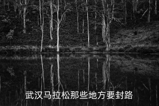武漢馬拉松那些地方要封路