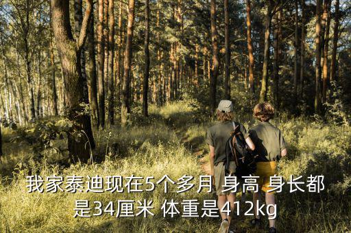 我家泰迪現在5個多月 身高 身長都是34厘米 體重是412kg