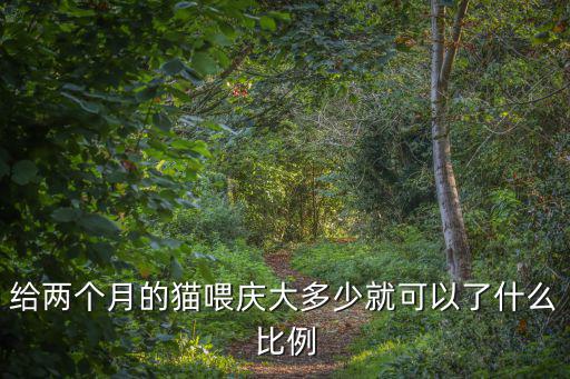 給兩個月的貓喂慶大多少就可以了什么比例