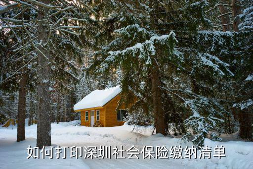 如何打印深圳社會保險繳納清單
