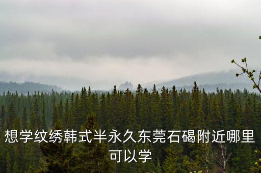 東莞石碣桔洲學(xué)藝術(shù)，東莞石碣有哪些藝術(shù)學(xué)校或者技術(shù)學(xué)校