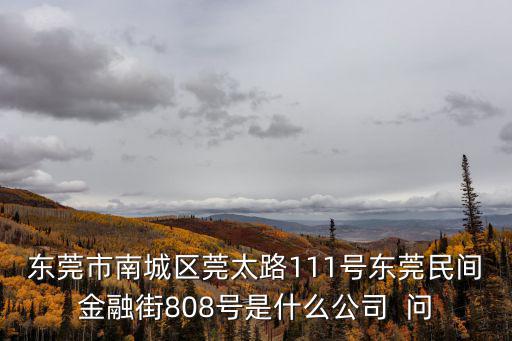 東莞市南城區(qū)莞太路111號東莞民間金融街808號是什么公司  問
