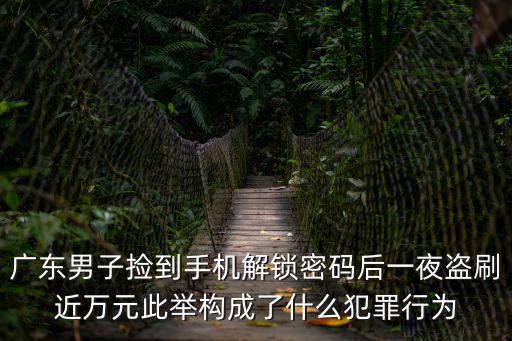 廣東男子撿到手機解鎖密碼后一夜盜刷近萬元此舉構成了什么犯罪行為