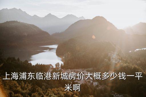 上海浦東臨港新城房價大概多少錢一平米啊