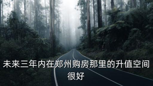 未來三年內(nèi)在鄭州購房那里的升值空間很好