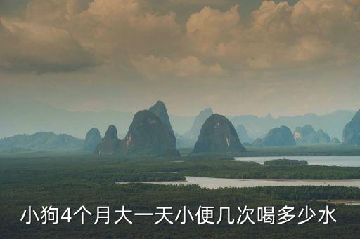 幼狗一天喝多少水，小狗4個月大一天小便幾次喝多少水