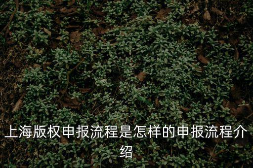 上海版權申報流程是怎樣的申報流程介紹
