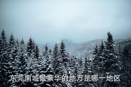 東莞南城最繁華的地方是哪一地區(qū)