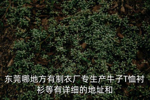 東莞市貝蕊爾服飾有限公司，東莞橫瀝有個(gè)很大的美資制衣廠叫啥