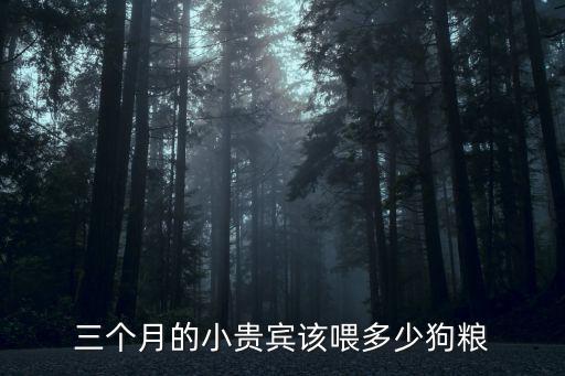 三個月的小貴賓該喂多少狗糧