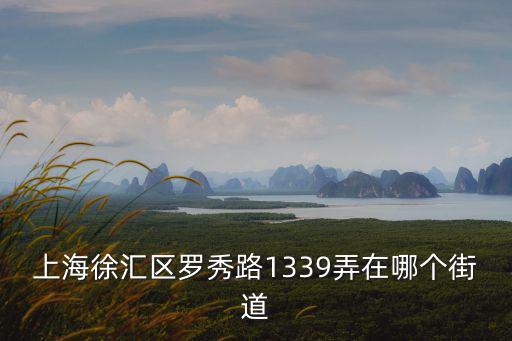 上海徐匯區(qū)羅秀路1339弄在哪個街道