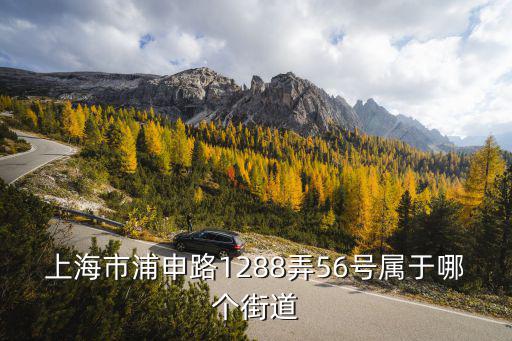 上海市浦申路是什么區(qū)的，上海市寶山區(qū)申浦路月泉路交界口屬于什么鎮(zhèn)