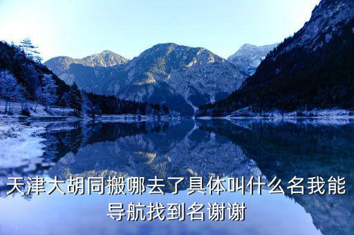 天津市大胡同地圖，天津大胡同在哪