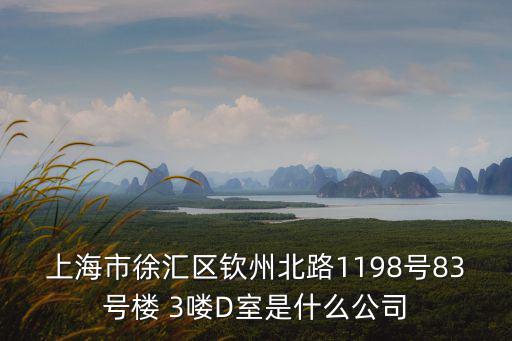 上海市徐匯區(qū)欽州北路1198號(hào)83號(hào)樓 3嘍D室是什么公司