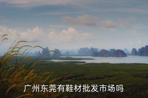 東莞市鴻業(yè)鞋材，東莞最大的鞋材市場(chǎng)在哪具體怎么走