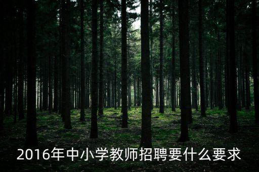 2016年中小學教師招聘要什么要求