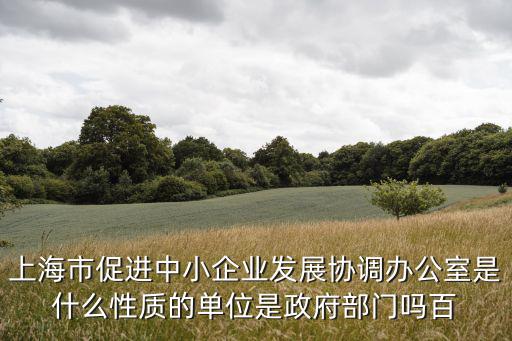 上海市促進中小企業發展協調辦公室是什么性質的單位是政府部門嗎百