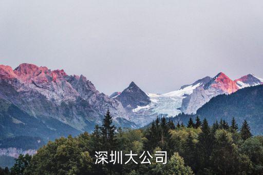 深圳企業(yè)口罩領取，我在一家深圳公司上班但是由于此公司倒閉在深圳的開發(fā)部和銷