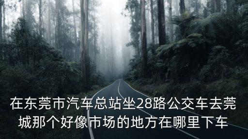 在東莞市汽車總站坐28路公交車去莞城那個好像市場的地方在哪里下車