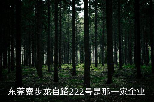 東莞寮步龍自路222號是那一家企業