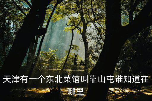 天津有一個東北菜館叫靠山屯誰知道在哪里