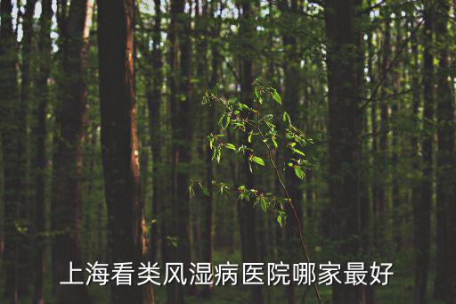 上海看類風(fēng)濕病醫(yī)院哪家最好