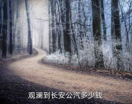 觀瀾到長安公汽多少錢