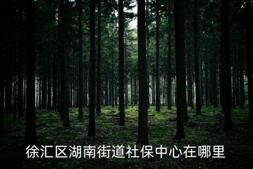 徐匯區湖南街道社保中心在哪里