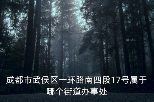 成都市武侯區一環路南四段17號屬于哪個街道辦事處