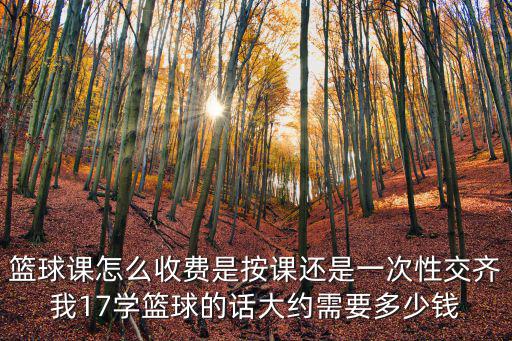 籃球課怎么收費是按課還是一次性交齊我17學籃球的話大約需要多少錢