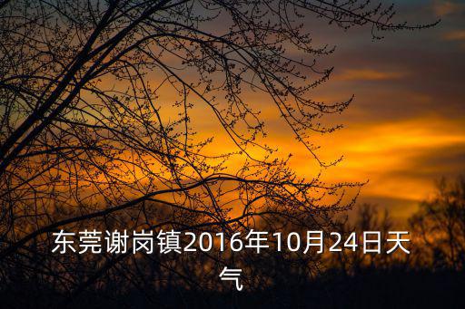東莞謝崗鎮2016年10月24日天氣