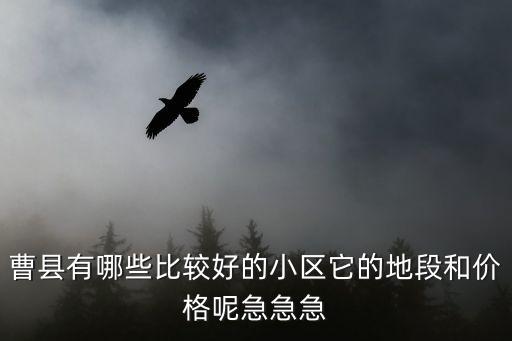 曹縣有哪些比較好的小區它的地段和價格呢急急急