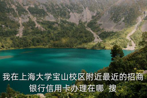 我在上海大學寶山校區附近最近的招商銀行信用卡辦理在哪  搜