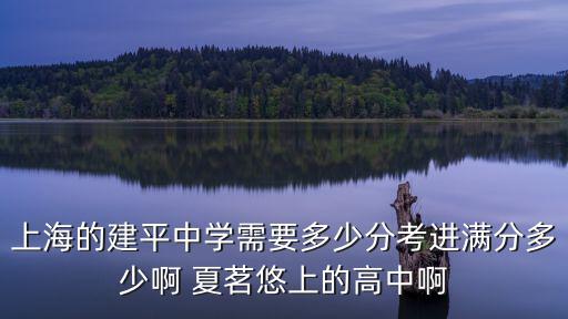 上海的建平中學需要多少分考進滿分多少啊 夏茗悠上的高中啊