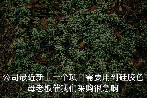 東莞市華飛新材料科技有限公司，公司最近新上一個項(xiàng)目需要用到硅膠色母老板催我們采購很急啊
