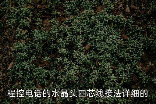 程控電話(huà)的水晶頭四芯線(xiàn)接法詳細(xì)的