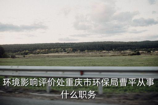 環境影響評價處重慶市環保局曹平從事什么職務