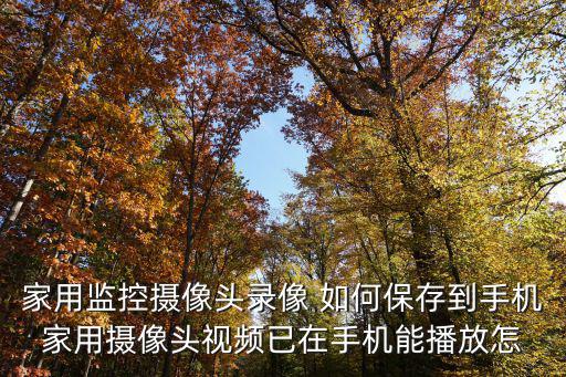監控器的錄像怎么保存，監控室里的監控錄像一般如何保存