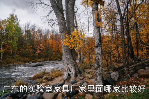 廣東的實驗室家具廠家里面哪家比較好