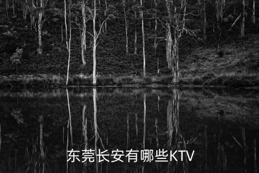  東莞長安有哪些KTV