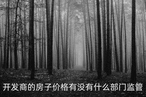 開發商的房子價格有沒有什么部門監管