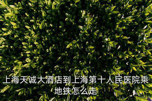 上海天誠大酒店到上海第十人民醫院乘地鐵怎么走