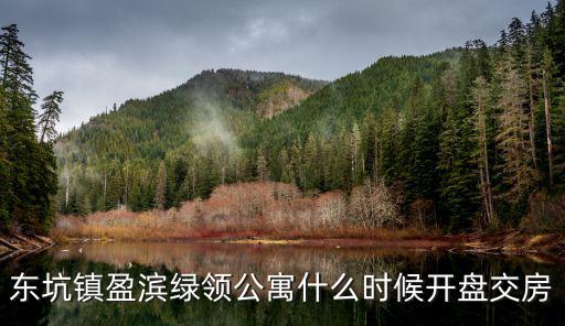 東坑鎮盈濱綠領公寓什么時候開盤交房