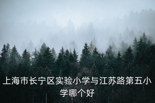 上海市長寧區實驗小學與江蘇路第五小學哪個好