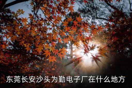 東莞長安沙頭為勤電子廠在什么地方