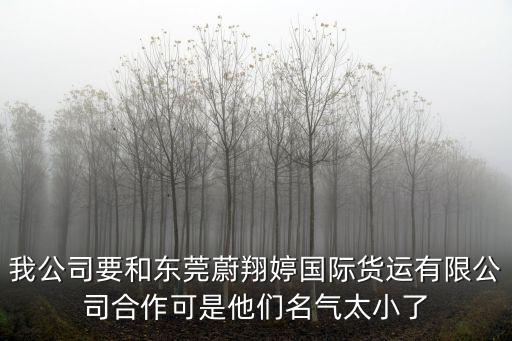 我公司要和東莞蔚翔婷國際貨運有限公司合作可是他們名氣太小了